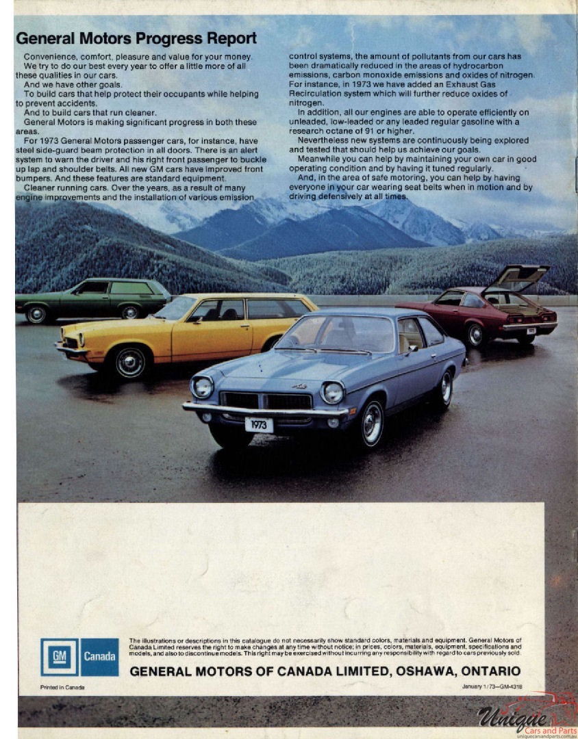 1973 Canadian Pontiac Astre Brochure Page 3